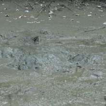 Jayce: On the run, I strip and hide in Deep, Thick Mud!  Submerged tons!