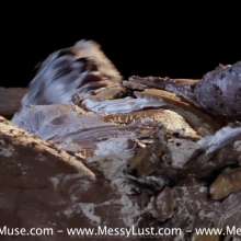 Dirty Muse: Pie Sex