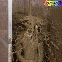 WamtasticUK: Stu and Eifion Trigger Word Mutiple Mud Tankings