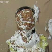 Anglefan: Kristen P messy debut pt 2