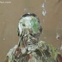 Anglefan: Kristen P messy debut pt 2