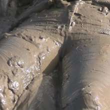 WetandMuddy: Video 61--Stuck in the Middle with You