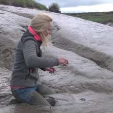 WetandMuddy: Video 61--Stuck in the Middle with You