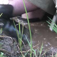 WetandMuddy: Video 62--Head over Boots