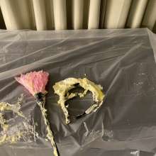 Beantwn: Maid to Pie (and Slime)