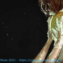 Dirty Muse: Best of Pie (one)