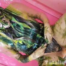 TotallyGunged: Splat The Brat with Chelsey!