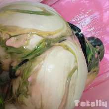 TotallyGunged: Splat The Brat with Chelsey!