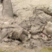 FOXY: Down jacket in deep mud