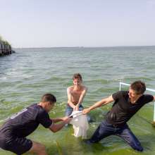 Wet Live Team: Hot Trio Ruslan, Danio, Andrii and Their Crazy Beach Fun