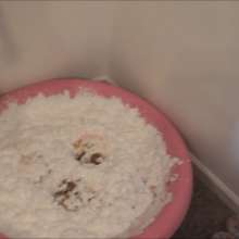 RevSlymsford: Kaydens Makes Herself Into An Ice Cream Sundae