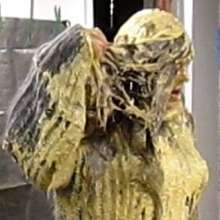 messycharlotte: 