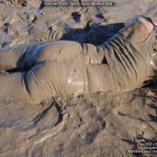DungeonMasterOne: Susie, in yoga pants, barefoot in the mud!