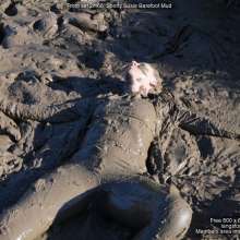 DungeonMasterOne: Susie, in yoga pants, barefoot in the mud!