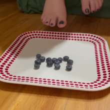 JennysPerfectPaws: Blueberry Footprints