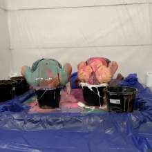 Wamchantelle: New studio completed and tested