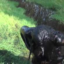 WSMProductions: Dee Is a Very Muddy Dancer