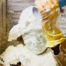 Pieparazzi: Messy In Yellow Rubber Rainwear And Wellies