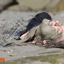 FOXY: Vika dirties copiously in mud
