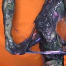 RevSlymsford: Kaydens: 'My Stretchiest Slime'