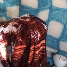 RevSlymsford: Kaydens' Wedding Gown Destruction: From White To Chocolate!