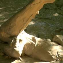 dlodoski: Star, Up Close in the Mud--Images