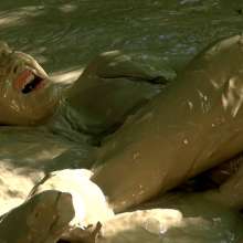dlodoski: Star, Up Close in the Mud--Images