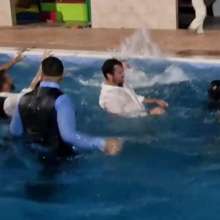 Polarwet: Pool Wedding