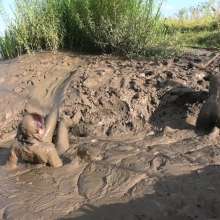 DungeonMasterOne: Spandex Suits Mudbath with Honeysuckle and Susie