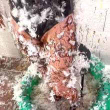 Larzstord: Tarred and Feathered in My Swimsuit and Goggles