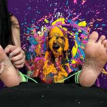 The Man and The Wife: New Download: 'Tied, Tickled, Pied: Tori'