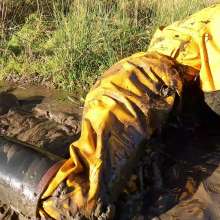 WetandMuddy: Video 96--Gorge-ous