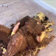 RevSlymsford: Allison Lies Down + Takes 20 Thrown Pies In Purple Dress