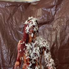 Slimed Models: April Tar and Feathered!