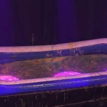 LiquidX: Bag Bogging: Mollie Vs Suzie