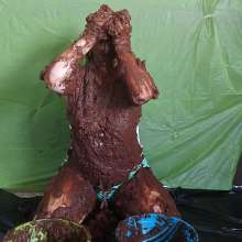 AngieWAM: Chocolat Experience: Extra Creamy Pudding