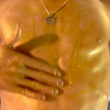 Your Wet Cat: Cute Golden Boy with a Big