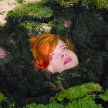 QS4Ever: Danger!  Sphagnum!  (Mary Orchid)