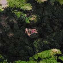 QS4Ever: Danger!  Sphagnum!  (Mary Orchid)