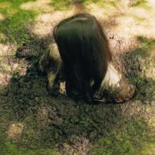 QS4Ever: Don't Step on Duckweed, Angel