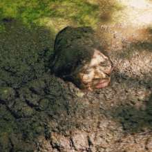 QS4Ever: Don't Step on Duckweed, Angel