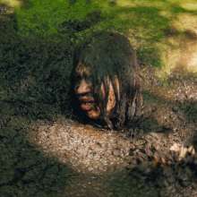 QS4Ever: Don't Step on Duckweed, Angel