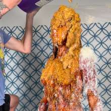 Slimed Models: Erin Molasses and Feathered and Slopped Naked