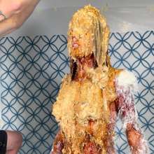 Slimed Models: Erin Molasses and Feathered and Slopped Naked