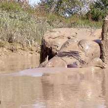 FOXY: In deep mud with red boots.
