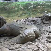 Jayce: Lost After Lacrosse in Hunters!  My "First Time" in Mud!