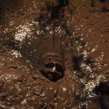 QS4Ever: Lucy Kitty in Melted Chocolate