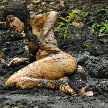 dlodoski: Ashley, Jungle Girl in Training--Photos