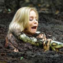 dlodoski: Snake Attack in the Swamp--Photos