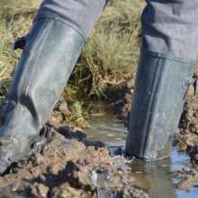 MuddySideUp: Muddy Dark Blue Wellies03